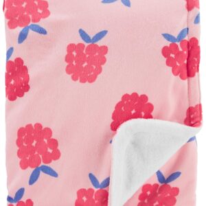 CARTER'S  PLUSH RASBERRY BLANKET $28.38 VAT