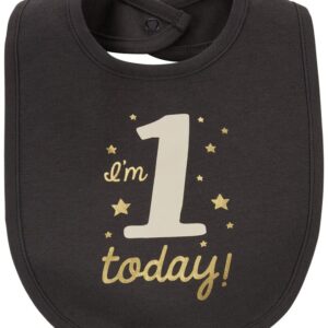 CARTER'S  WATER RESISTANT  I'M 1 TODAY! BDAY BIB  $8.25 VAT