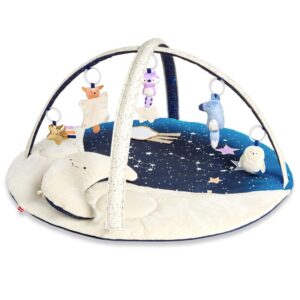 SKIP*HOP   CELESTIAL DREAMS ACTIVITY GYM   $145.20 VAT