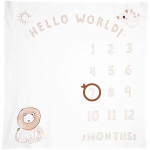 CARTER'S   BABY NEUTRAL MILESTONE BLANKET   $30.36 VAT