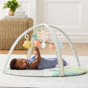 Skip Hop Garden Oasis Activity Gym Vat $158.82