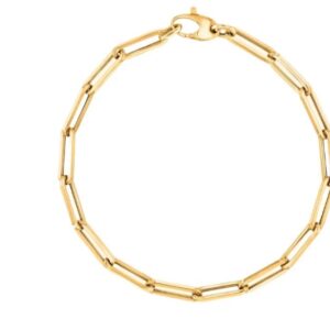 Gold Link Bracelet VAT $29.00